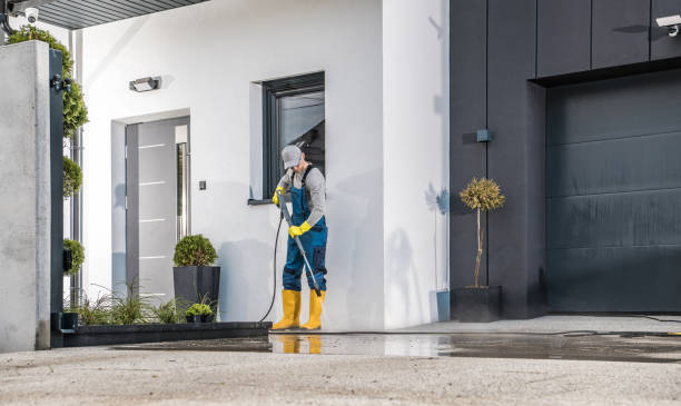 Boat and Dock Cleaning in Davison, MI